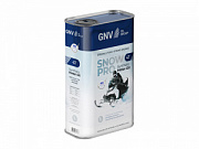 GNV SNOW PRO 4T /Синтетическое масло для...